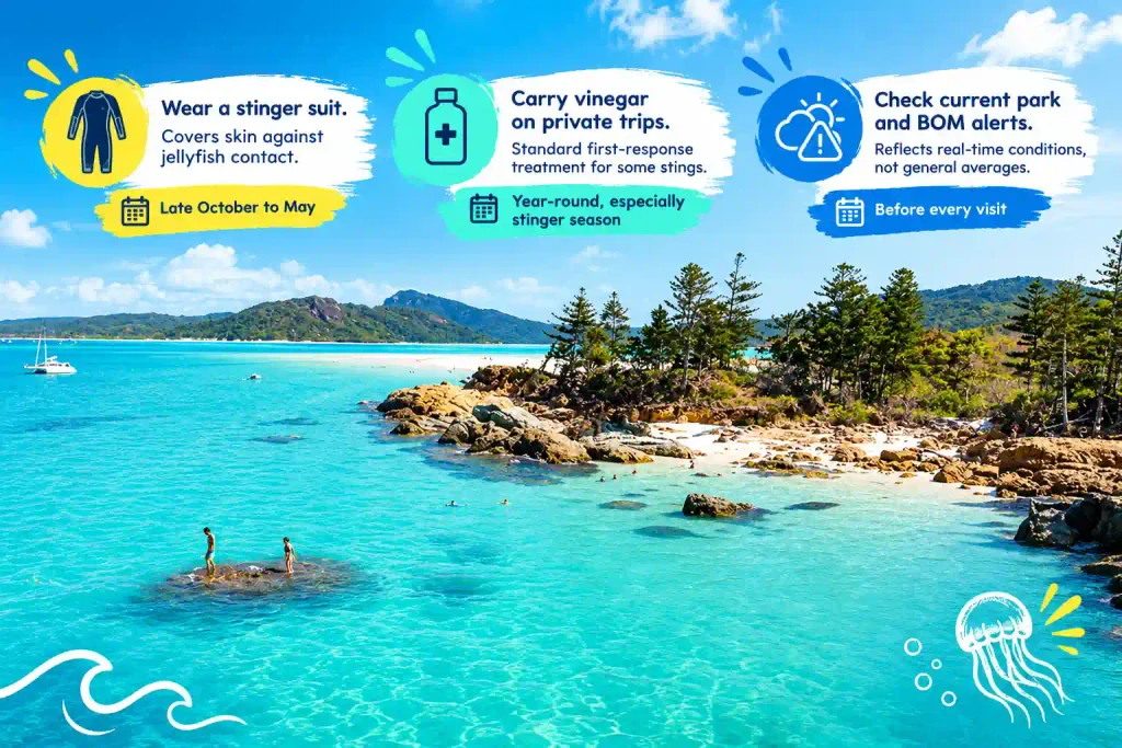 Whitehaven Beach jellyfish safety tips
