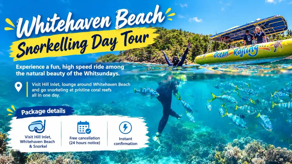 Whitehaven Beach snorkelling tour with coral reefs and snorkeler. 