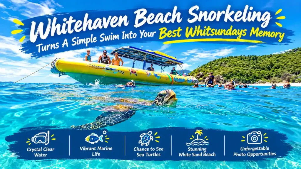 Whitehaven Beach snorkeling
