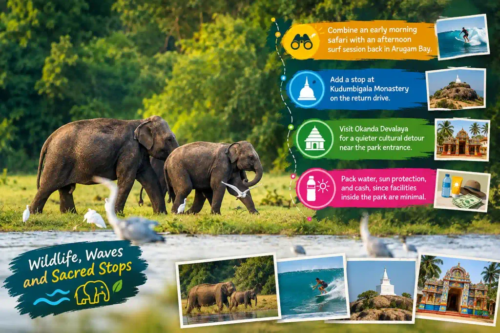 Elephants by wetland