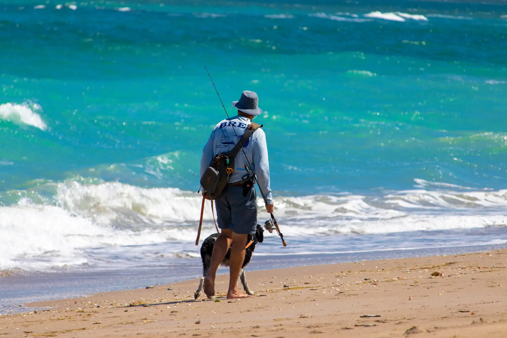 A person fishing with a dog on a sandy beach beside turquoise ocean waves.