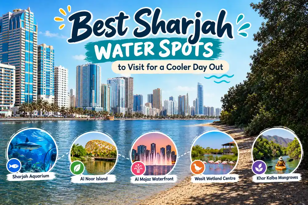 Best Sharjah water spots featuring Sharjah Aquarium, Al Noor Island, Al Majaz Waterfront, Wasit Wetland Centre and Khor Kalba Mangroves.